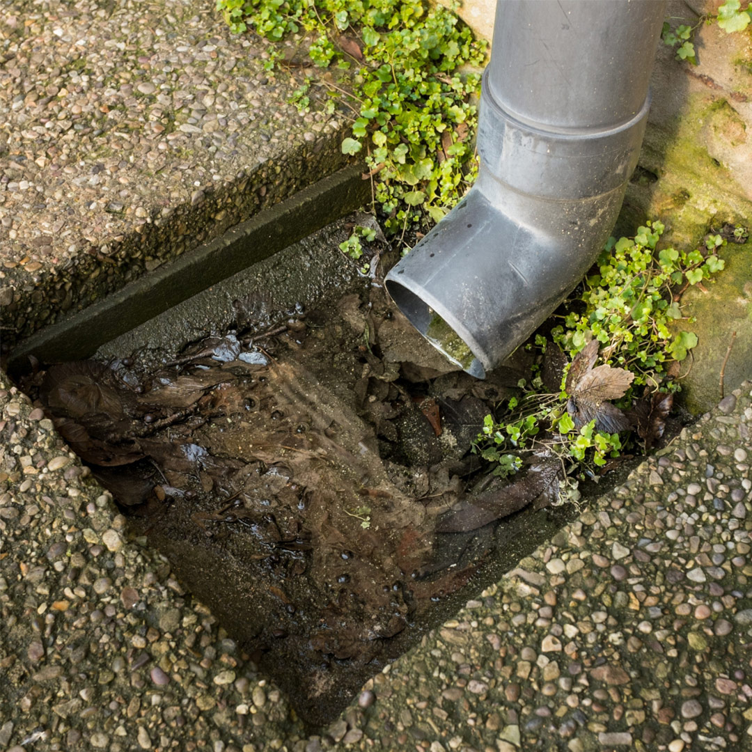 image presents Blocked Drains Specialists and Strata-2